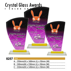 Crystal Glass Plaque NC8257 NC8257

